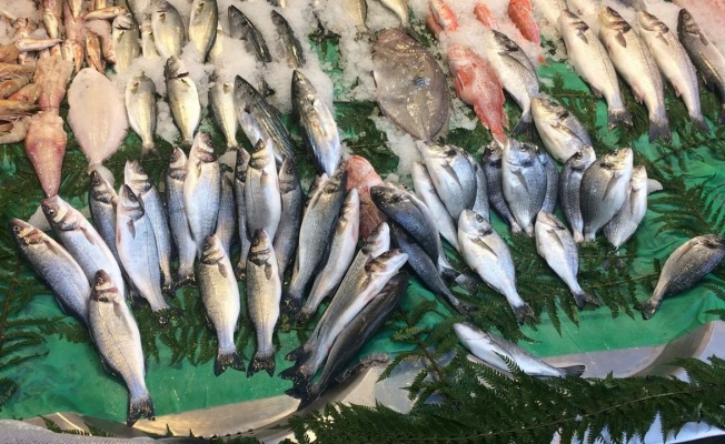 Balık fiyatlar şok etti