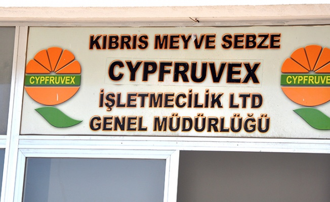 Cypruvex: Limon ve mandora ürünleri sıkma tesisinde değerlendirilebilir